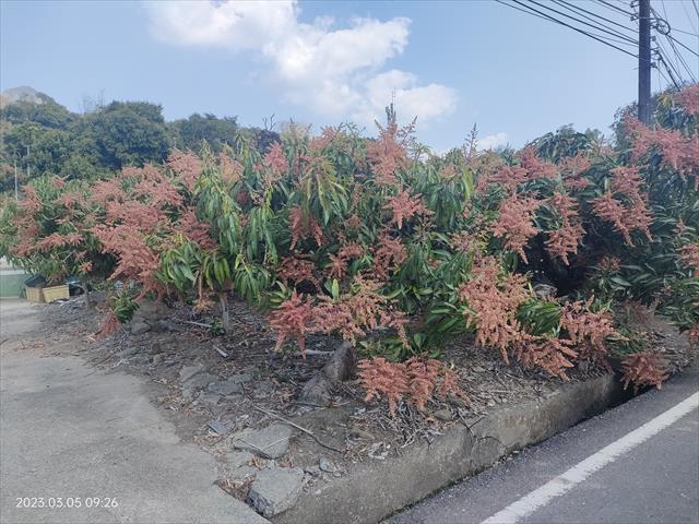生產者圖片