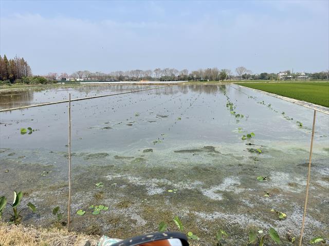 生產者圖片