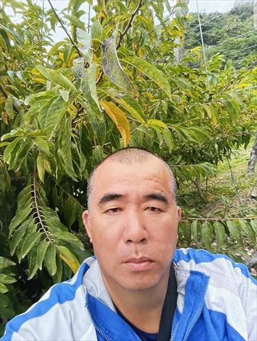 生產者圖片