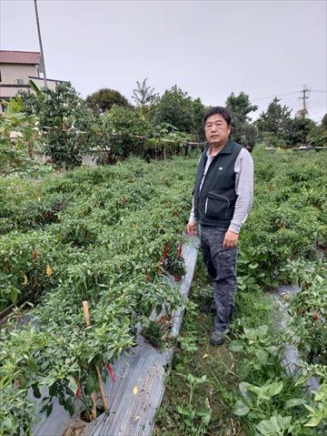 生產者圖片
