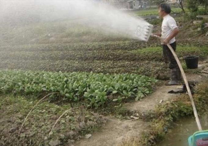 生產者圖片