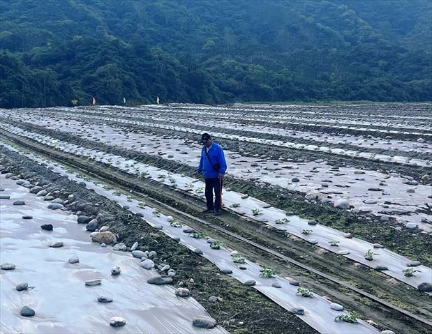 生產者圖片