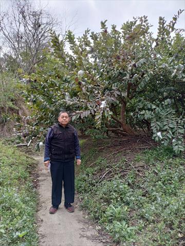 生產者圖片