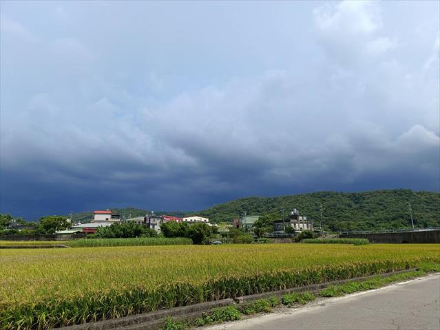 生產者圖片