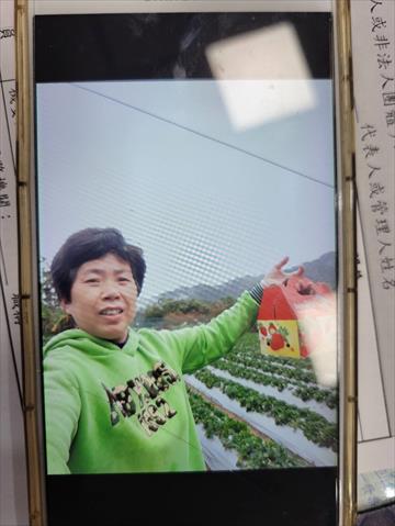 生產者圖片