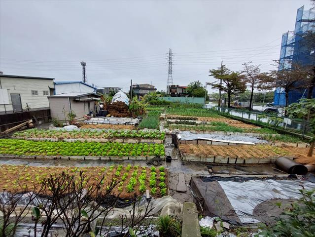 生產者圖片