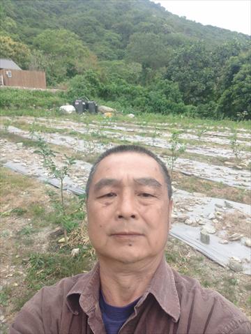 生產者圖片