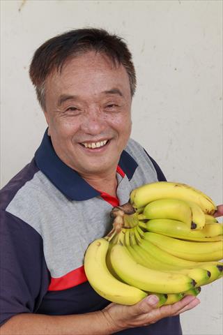生產者圖片