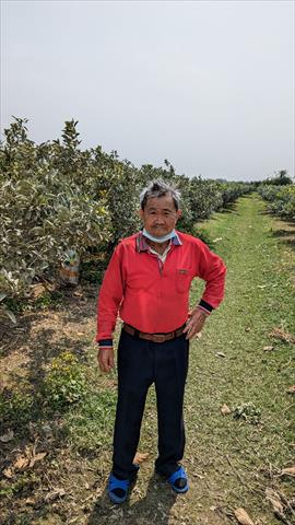 生產者圖片