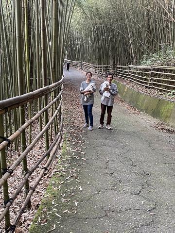 生產者圖片