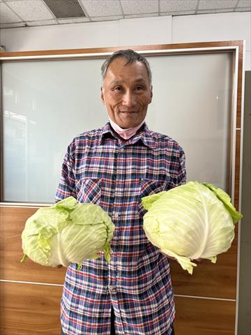 生產者圖片
