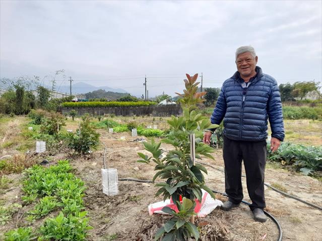 生產者圖片