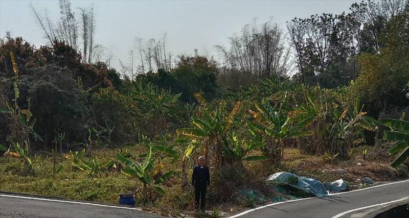 生產者圖片