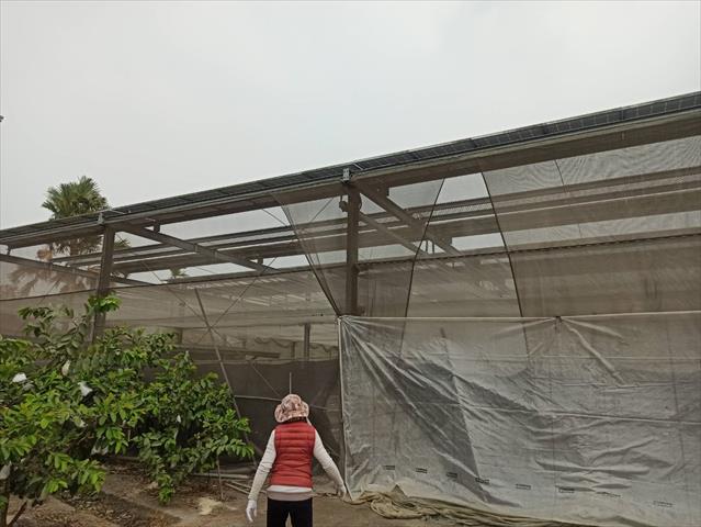 生產者圖片