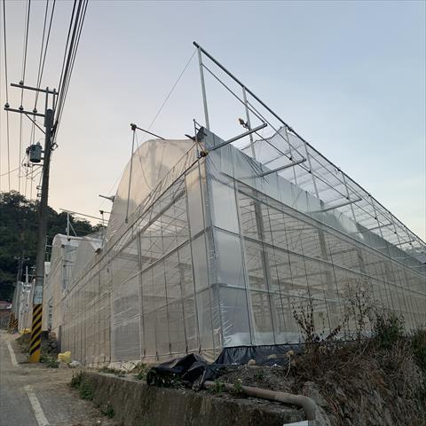 生產者圖片