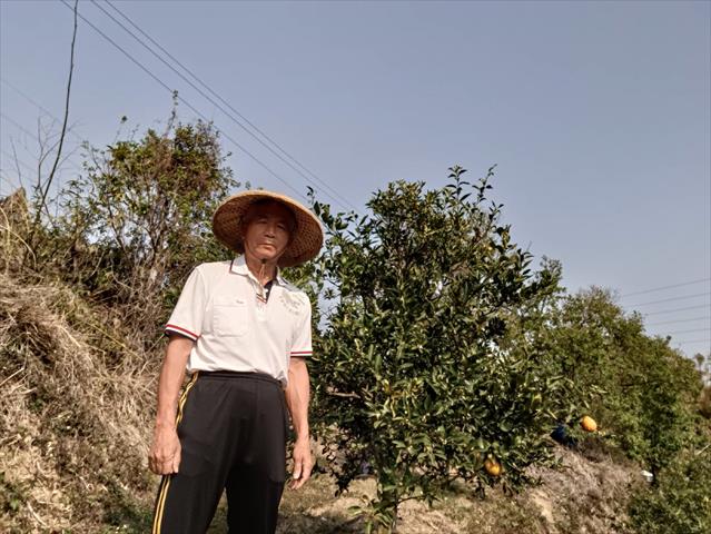 生產者圖片