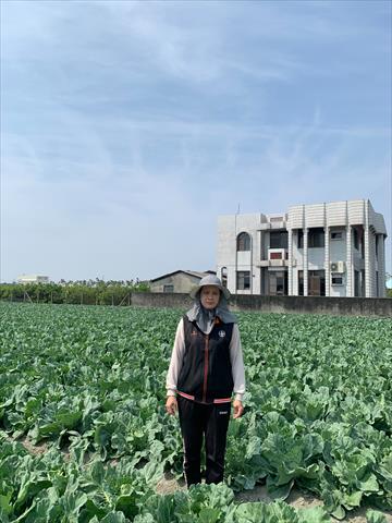 生產者圖片