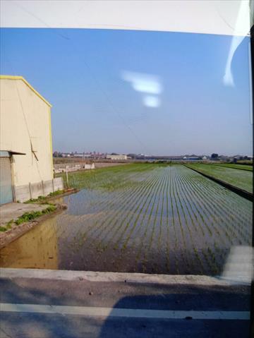 生產者圖片