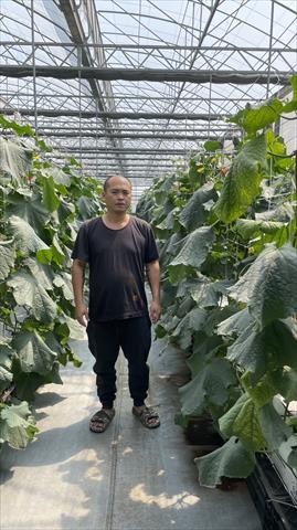 生產者圖片