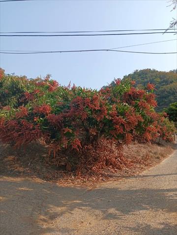 生產者圖片