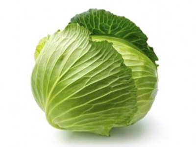 生產者圖片