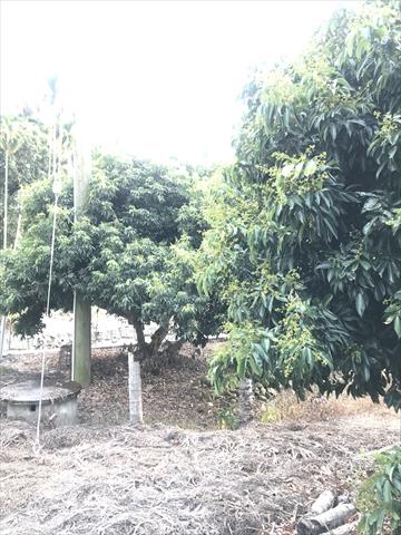 生產者圖片