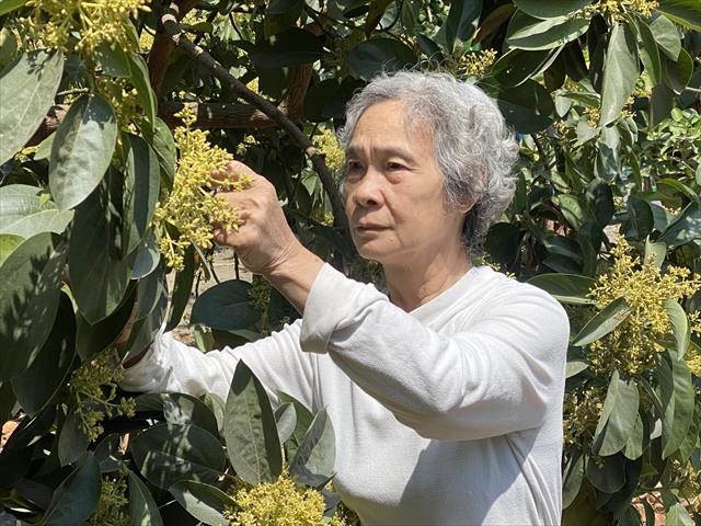 生產者圖片
