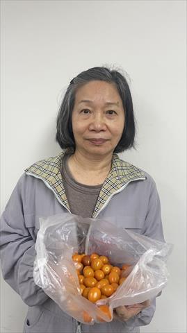 生產者圖片