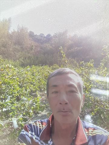生產者圖片
