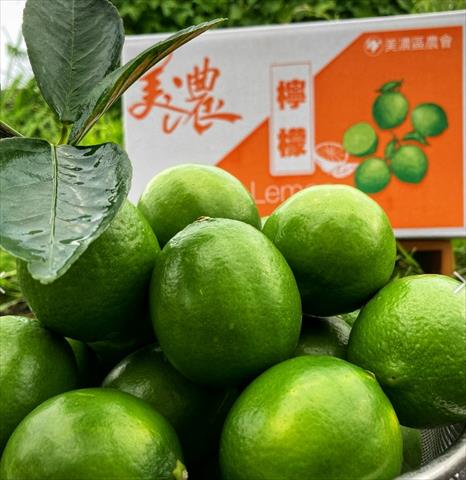 生產者圖片