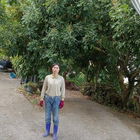 生產者圖片