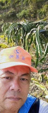 生產者圖片