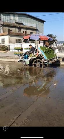 生產者圖片