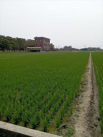 生產者圖片