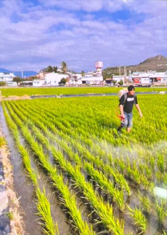 生產者圖片
