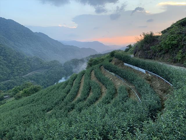 生產者圖片