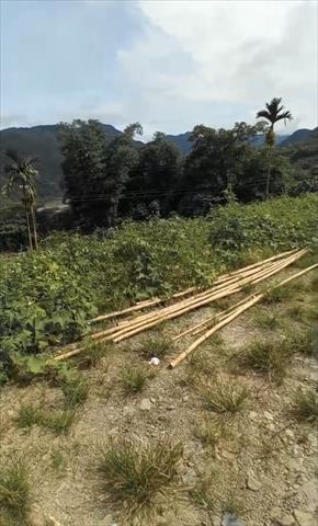 生產者圖片