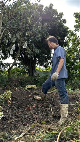 生產者圖片