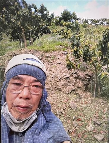 生產者圖片