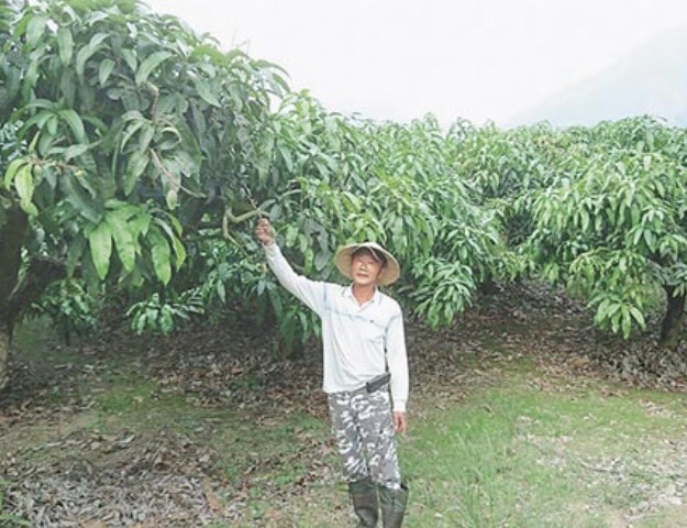 生產者圖片