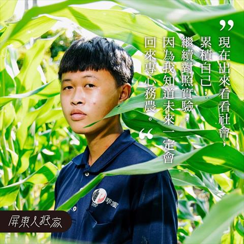 生產者圖片