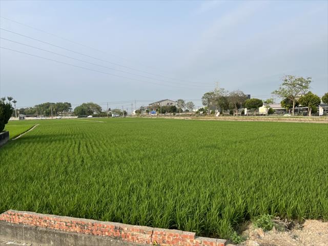 生產者圖片
