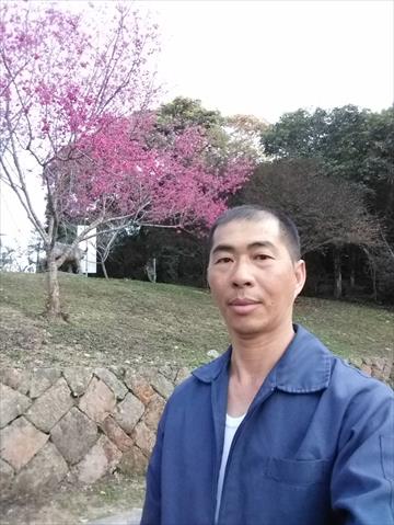 生產者圖片