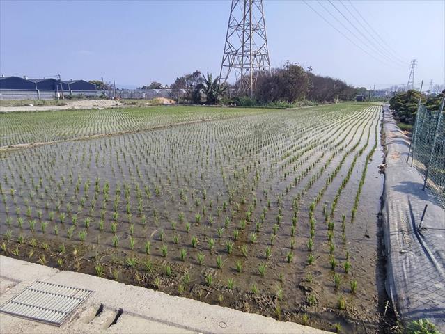 生產者圖片