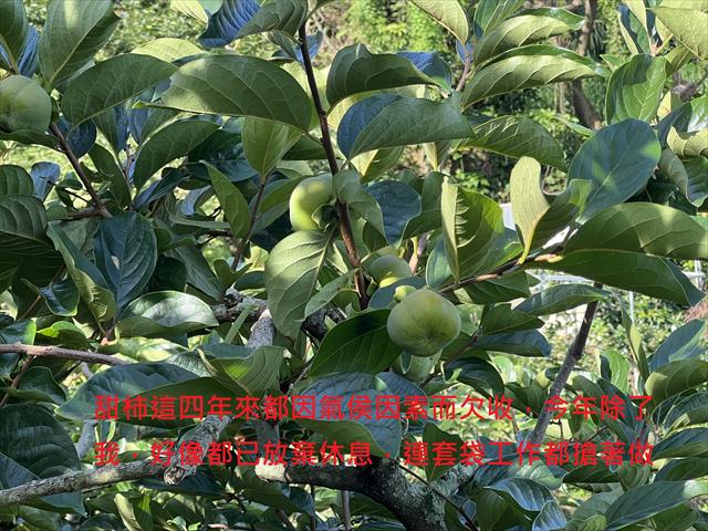 生產者圖片