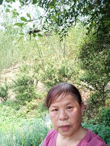 生產者圖片