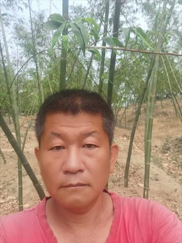 生產者圖片