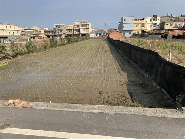 生產者圖片
