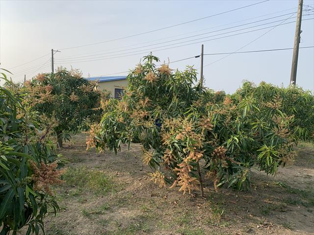 生產者圖片