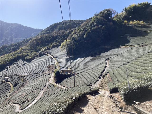 生產者圖片